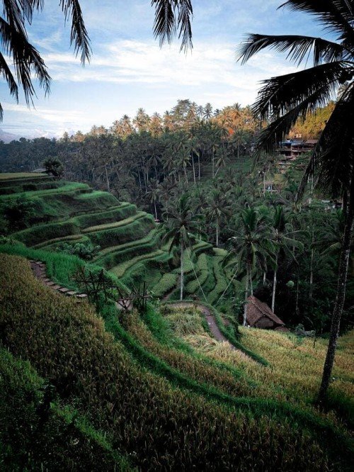 Discover the Magic Heart of Indonesia