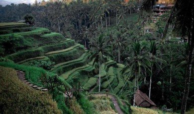 Discover the Magic Heart of Indonesia