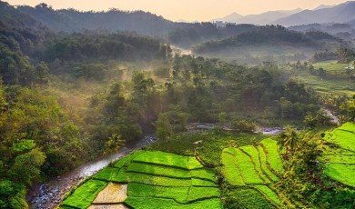 Scopri la tua Avventura in Indonesia